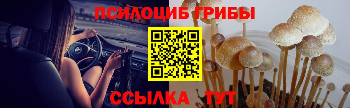Псилоцибиновые грибы мицелий  Вход с VPN  Магнитогорск 